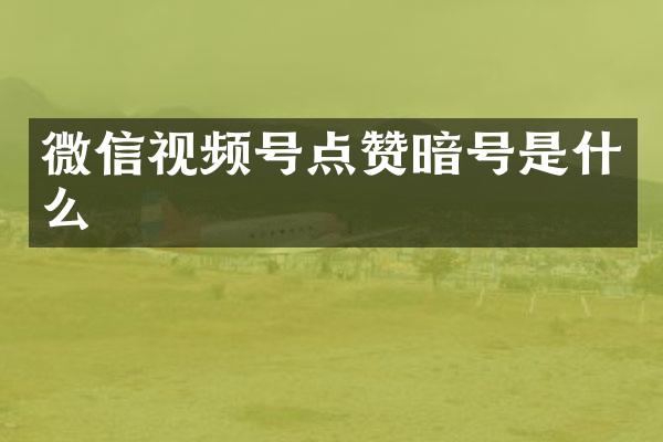 微信视频号点赞暗号是什么