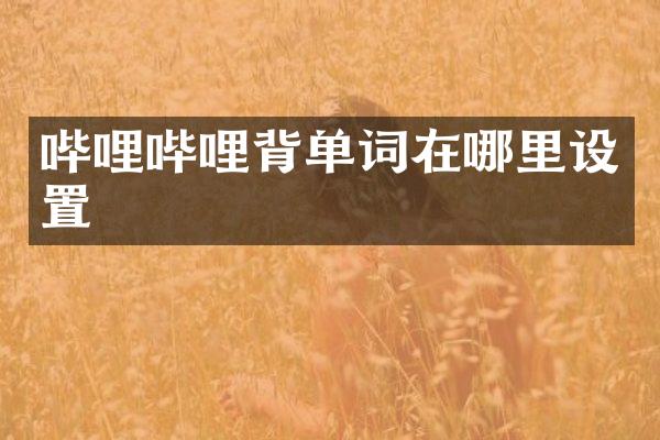 哔哩哔哩背单词在哪里设置