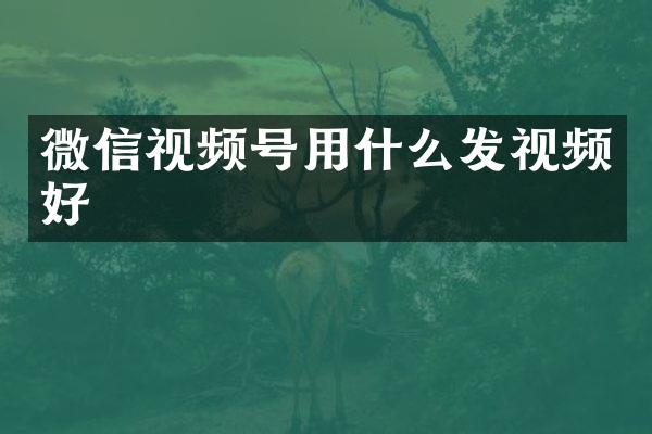 微信视频号用什么发视频好