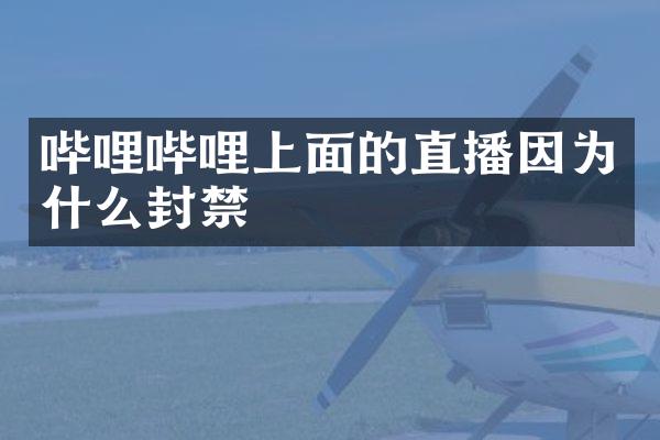 哔哩哔哩上面的直播因为什么封禁