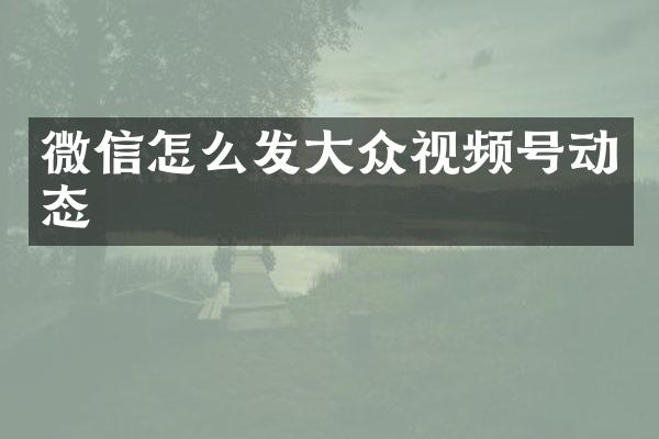 微信怎么发大众视频号动态