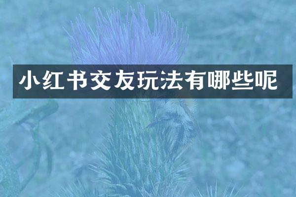 小红书交友玩法有哪些呢