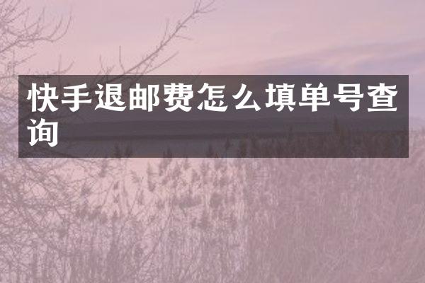 快手退邮费怎么填单号查询