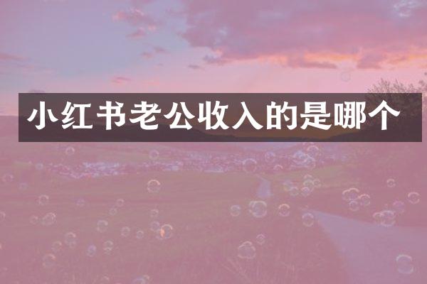小红书老公收入的是哪个