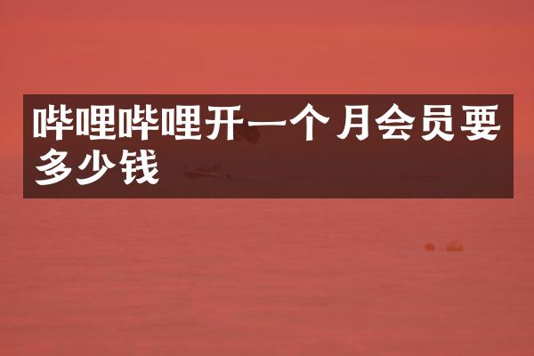 哔哩哔哩开一个月会员要多少钱