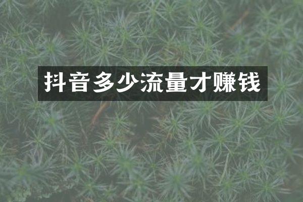 抖音多少流量才赚钱