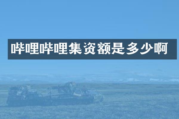 哔哩哔哩集资额是多少啊
