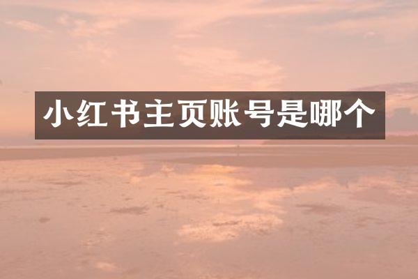小红书主页账号是哪个