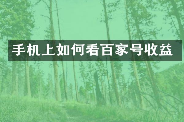 手机上如何看百家号收益