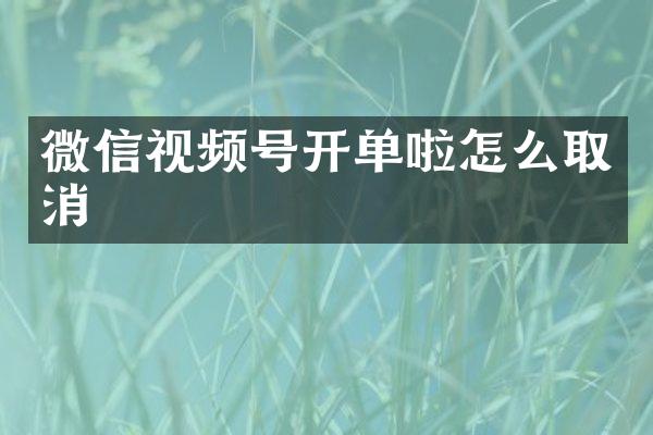 微信视频号开单啦怎么取消