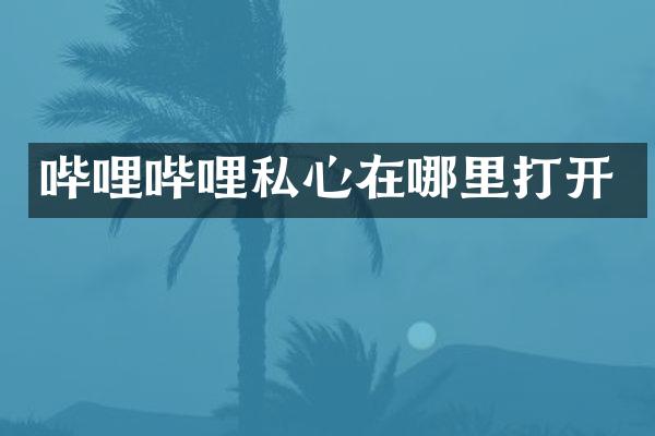 哔哩哔哩私心在哪里打开