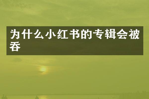 为什么小红书的专辑会被吞