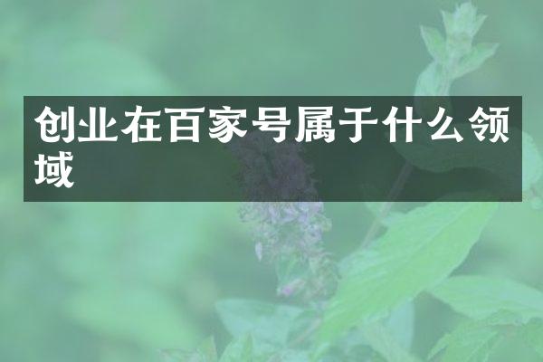 创业在百家号属于什么领域