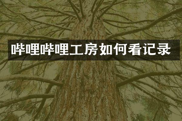哔哩哔哩工房如何看记录