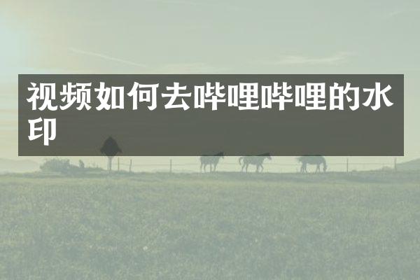视频如何去哔哩哔哩的水印