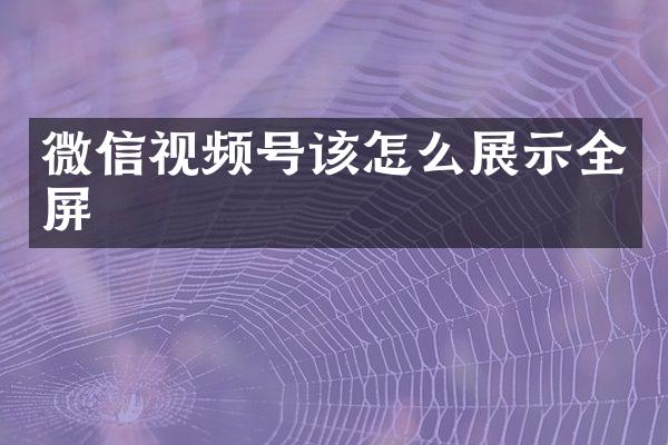 微信视频号该怎么展示全屏