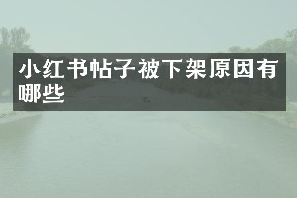 小红书帖子被下架原因有哪些