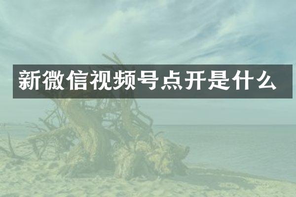 新微信视频号点开是什么