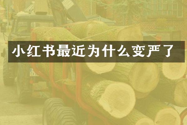 小红书最近为什么变严了