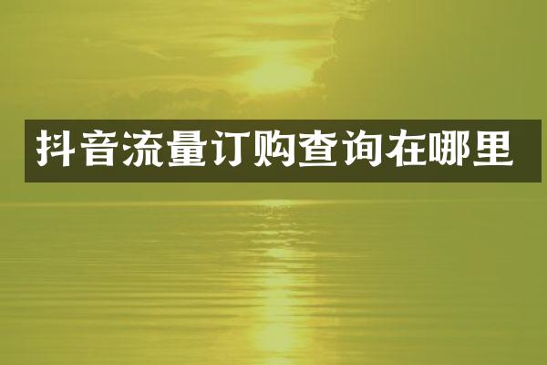 抖音流量订购查询在哪里