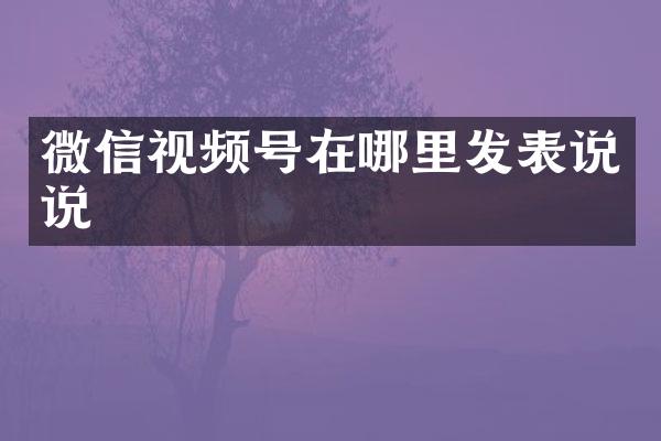 微信视频号在哪里发表说说