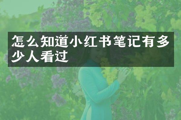 怎么知道小红书笔记有多少人看过