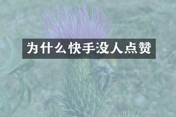 为什么快手没人点赞