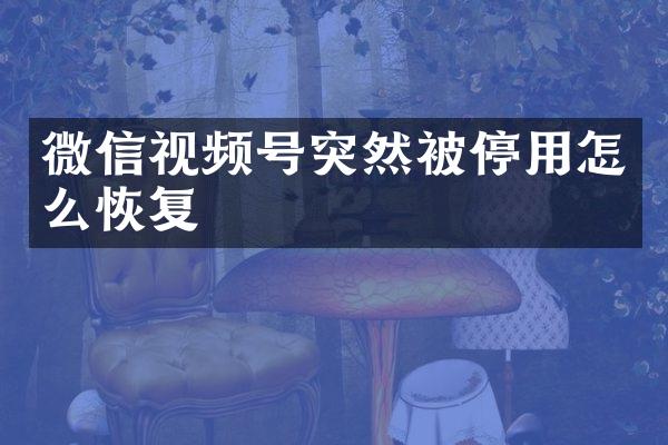 微信视频号突然被停用怎么恢复