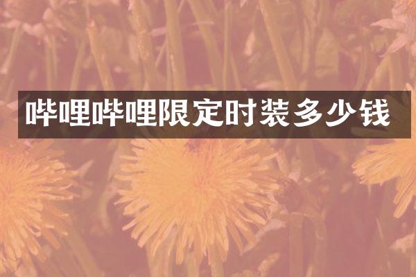 哔哩哔哩限定时装多少钱