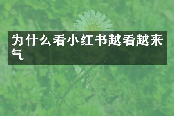 为什么看小红书越看越来气