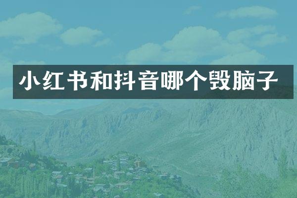 小红书和抖音哪个毁脑子