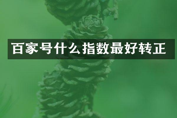 百家号什么指数最好转正