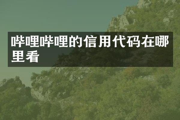 哔哩哔哩的信用代码在哪里看