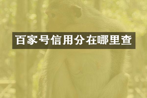 百家号信用分在哪里查