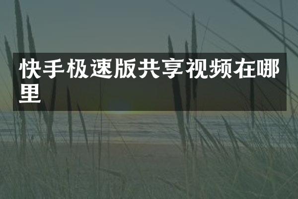 快手极速版共享视频在哪里