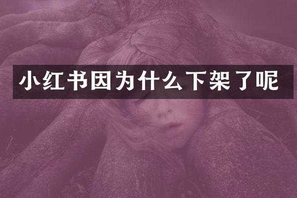 小红书因为什么下架了呢