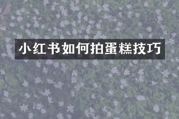 小红书如何拍蛋糕技巧