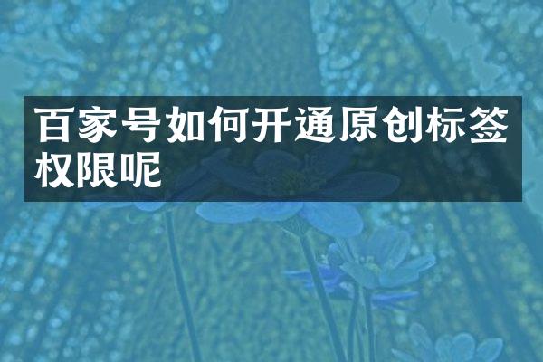 百家号如何开通原创标签权限呢