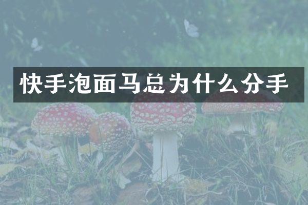 快手泡面马总为什么分手