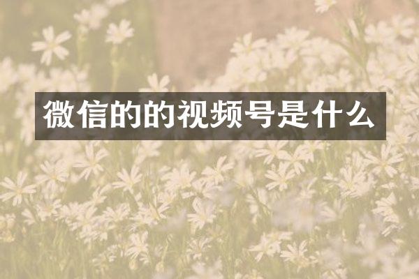 微信的的视频号是什么