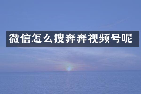 微信怎么搜奔奔视频号呢