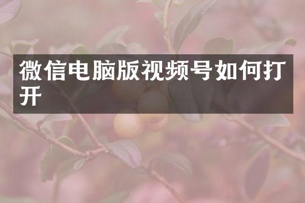 微信电脑版视频号如何打开