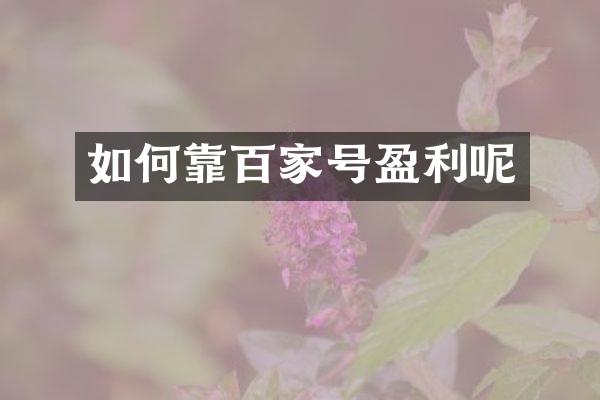 如何靠百家号盈利呢