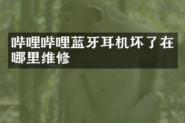 哔哩哔哩蓝牙耳机坏了在哪里维修