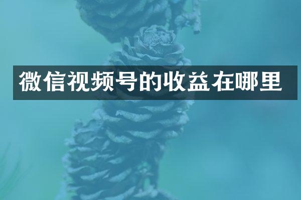 微信视频号的收益在哪里