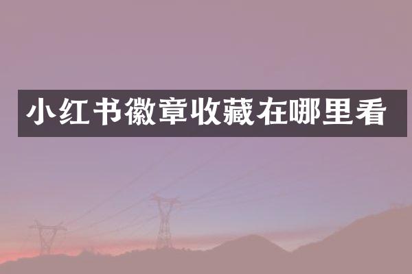 小红书徽章收藏在哪里看