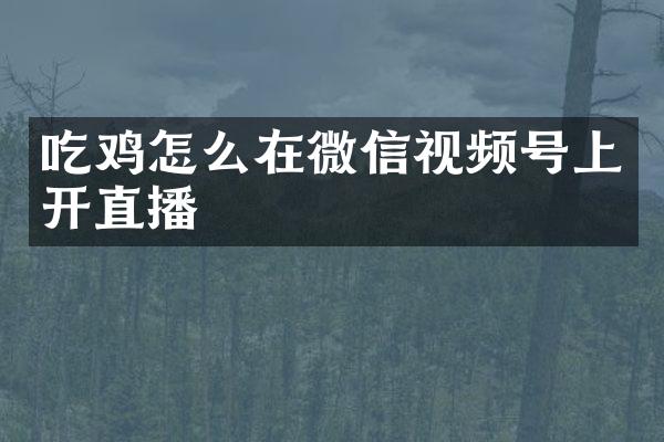 吃鸡怎么在微信视频号上开直播