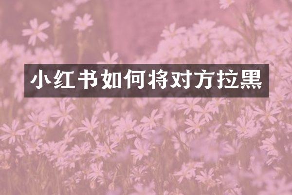 小红书如何将对方拉黑