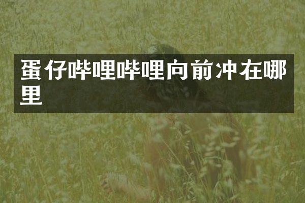 蛋仔哔哩哔哩向前冲在哪里