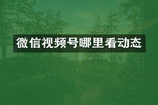 微信视频号哪里看动态